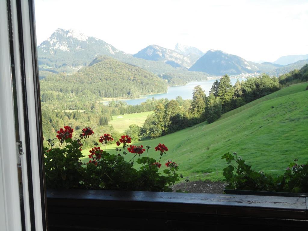 Bauernhof Strumegg Hof bei Salzburg Δωμάτιο φωτογραφία